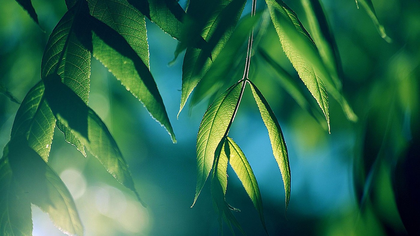 Green Blue