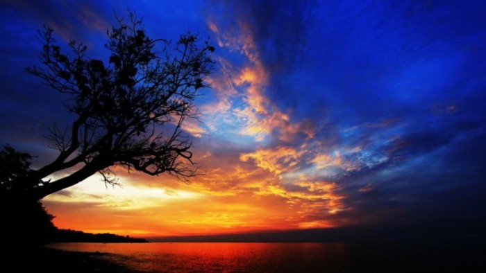 Senja